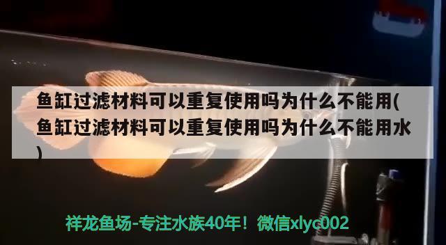 魚缸過濾材料可以重復使用嗎為什么不能用(魚缸過濾材料可以重復使用嗎為什么不能用水)