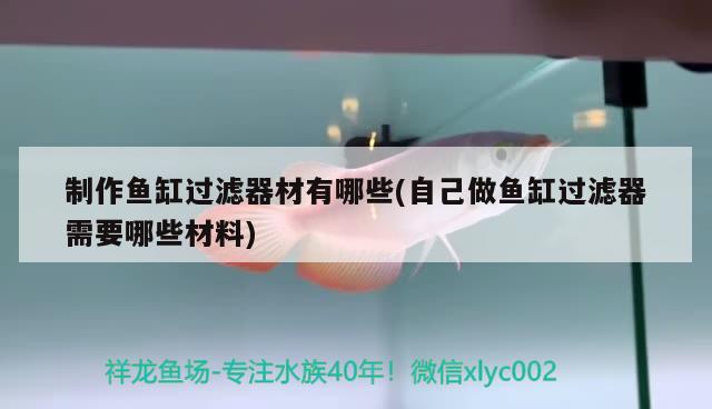 制作魚缸過濾器材有哪些(自己做魚缸過濾器需要哪些材料) 黑白雙星魚