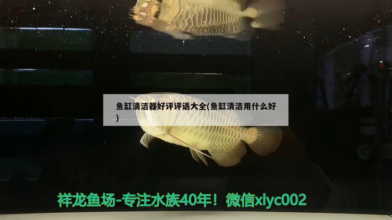 魚缸清潔器好評評語大全(魚缸清潔用什么好) 朱巴利魚