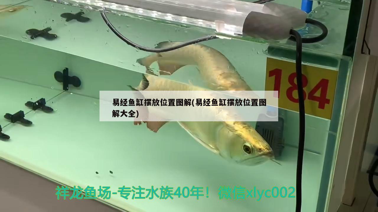 易經(jīng)魚缸擺放位置圖解(易經(jīng)魚缸擺放位置圖解大全)