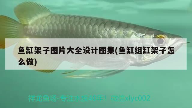 魚缸架子圖片大全設(shè)計(jì)圖集(魚缸組缸架子怎么做) 紅龍魚百科