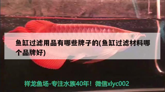 魚(yú)缸過(guò)濾用品有哪些牌子的(魚(yú)缸過(guò)濾材料哪個(gè)品牌好)