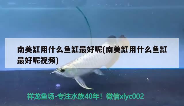 南美缸用什么魚缸最好呢(南美缸用什么魚缸最好呢視頻) PH調節(jié)劑