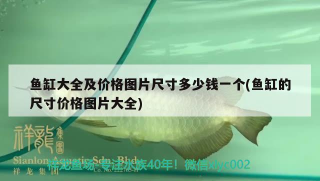 魚(yú)缸大全及價(jià)格圖片尺寸多少錢(qián)一個(gè)(魚(yú)缸的尺寸價(jià)格圖片大全) 翡翠鳳凰魚(yú)