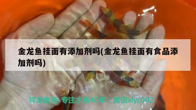 金龍魚掛面有添加劑嗎(金龍魚掛面有食品添加劑嗎) 綠皮皇冠豹魚