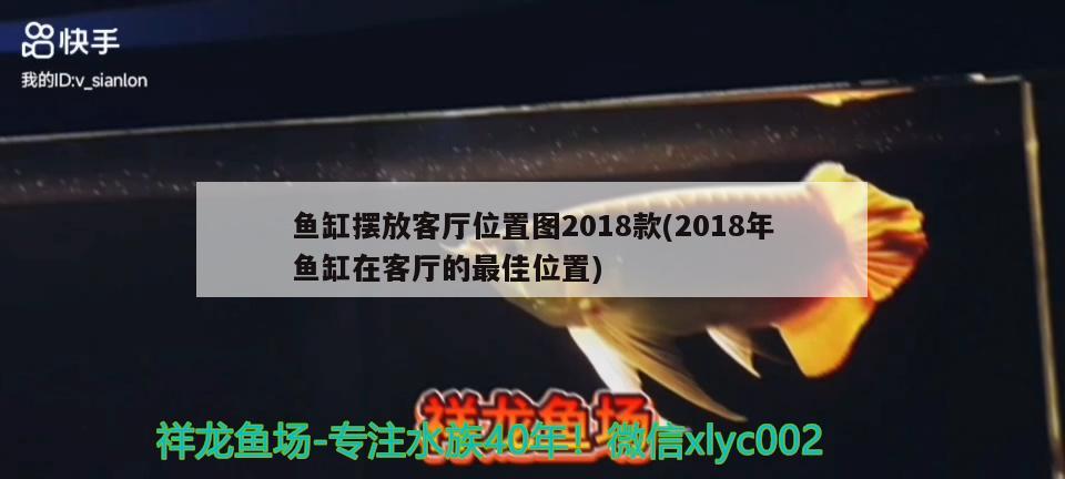 魚缸擺放客廳位置圖2018款(2018年魚缸在客廳的最佳位置)