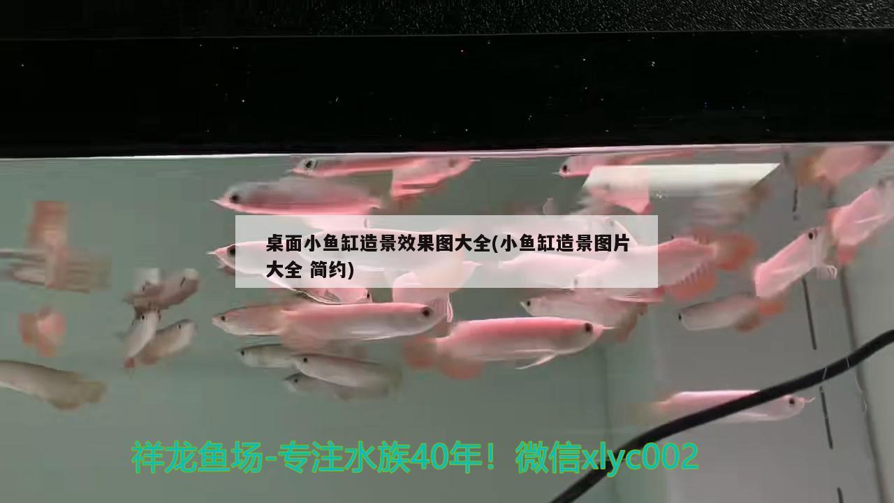 桌面小魚缸造景效果圖大全(小魚缸造景圖片大全簡約) 噴點菠蘿魚