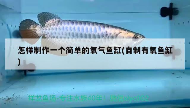 怎樣制作一個(gè)簡(jiǎn)單的氧氣魚(yú)缸(自制有氧魚(yú)缸) 紅白錦鯉魚(yú)