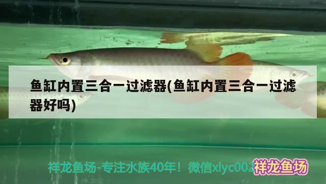 魚缸內(nèi)置三合一過濾器(魚缸內(nèi)置三合一過濾器好嗎)