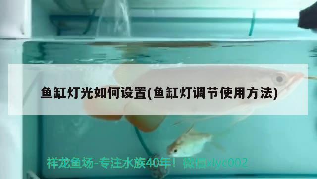 魚缸燈光如何設置(魚缸燈調(diào)節(jié)使用方法) 小型觀賞魚