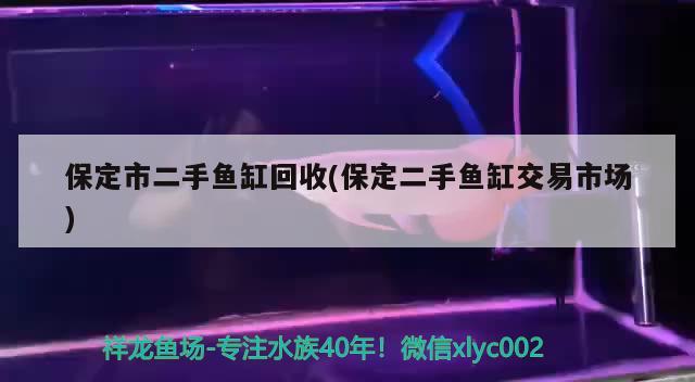 保定市二手魚缸回收(保定二手魚缸交易市場) 二氧化碳設(shè)備