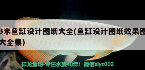 3米魚缸設計圖紙大全(魚缸設計圖紙效果圖大全集) 廣州觀賞魚批發(fā)市場