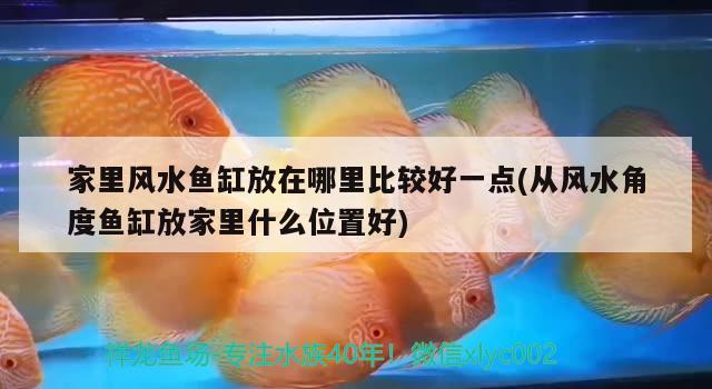 家里風(fēng)水魚(yú)缸放在哪里比較好一點(diǎn)(從風(fēng)水角度魚(yú)缸放家里什么位置好) 魚(yú)缸風(fēng)水