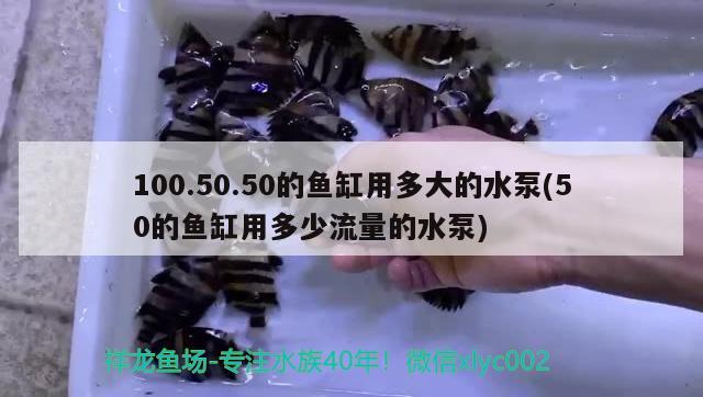 100.50.50的魚缸用多大的水泵(50的魚缸用多少流量的水泵)