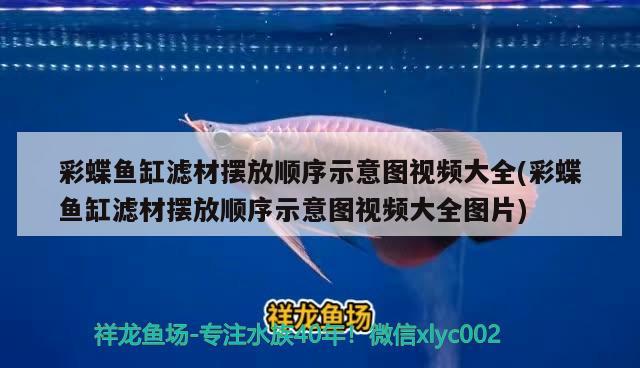 彩蝶魚缸濾材擺放順序示意圖視頻大全(彩蝶魚缸濾材擺放順序示意圖視頻大全圖片) 圖騰金龍魚