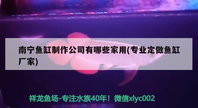 南寧魚缸制作公司有哪些家用(專業(yè)定做魚缸廠家) 黃金眼鏡蛇雷龍魚