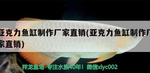 亞克力魚缸制作廠家直銷(亞克力魚缸制作廠家直銷) 錦鯉池魚池建設(shè)