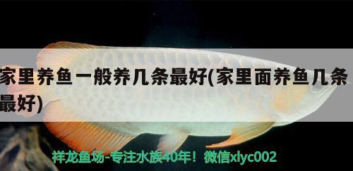 家里養(yǎng)魚一般養(yǎng)幾條最好(家里面養(yǎng)魚幾條最好) 彩鰈魚缸（彩蝶魚缸）