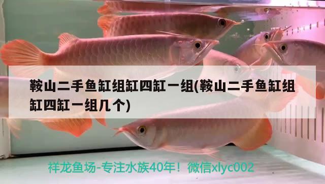 鞍山二手魚缸組缸四缸一組(鞍山二手魚缸組缸四缸一組幾個(gè)) 藍(lán)帆三間魚