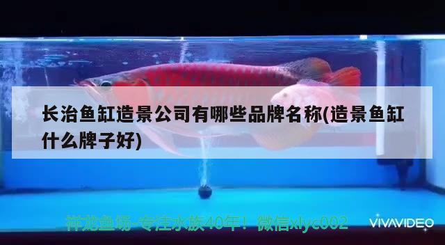 長(zhǎng)治魚缸造景公司有哪些品牌名稱(造景魚缸什么牌子好)