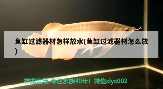 魚缸過濾器材怎樣放水(魚缸過濾器材怎么放)