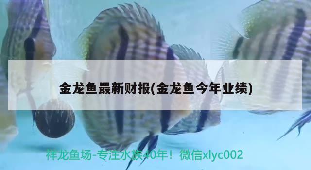 金龍魚最新財報(金龍魚今年業(yè)績)