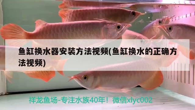 魚缸換水器安裝方法視頻(魚缸換水的正確方法視頻)