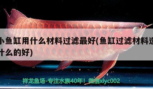 小魚缸用什么材料過濾最好(魚缸過濾材料選什么的好)