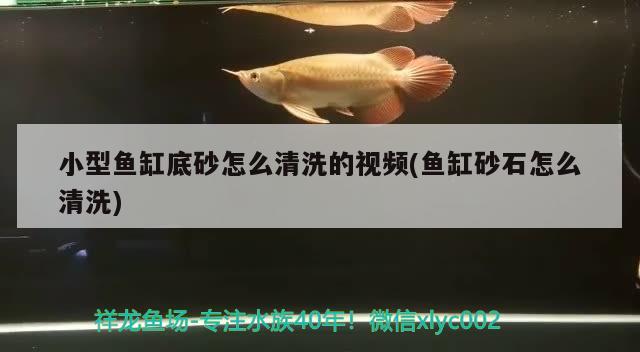 小型魚缸底砂怎么清洗的視頻(魚缸砂石怎么清洗) 白子銀版魚