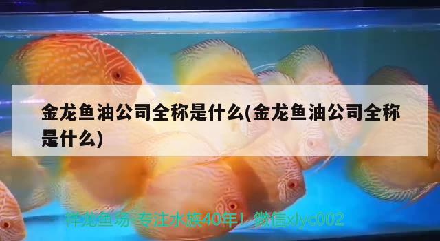 金龍魚油公司全稱是什么(金龍魚油公司全稱是什么)