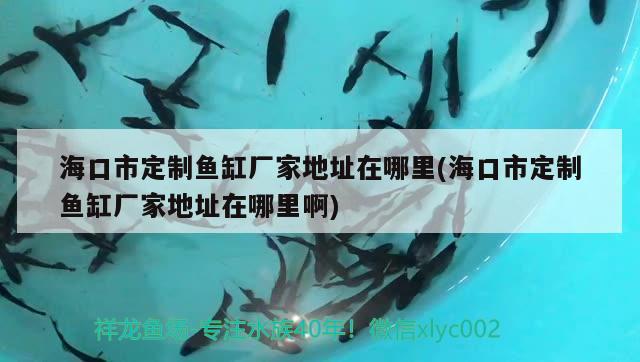 海口市定制魚缸廠家地址在哪里(?？谑卸ㄖ启~缸廠家地址在哪里啊) 三色錦鯉魚