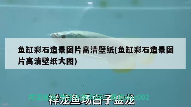 魚缸彩石造景圖片高清壁紙(魚缸彩石造景圖片高清壁紙大圖) 銀龍魚百科