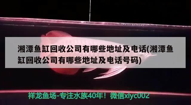 湘潭魚缸回收公司有哪些地址及電話(湘潭魚缸回收公司有哪些地址及電話號碼) 造景/裝飾