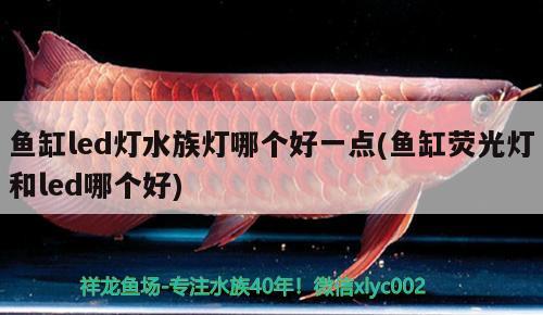 魚(yú)缸led燈水族燈哪個(gè)好一點(diǎn)(魚(yú)缸熒光燈和led哪個(gè)好) 其它水族用具設(shè)備