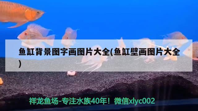 魚缸背景圖字畫圖片大全(魚缸壁畫圖片大全)