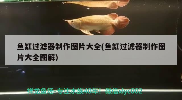 魚缸過濾器制作圖片大全(魚缸過濾器制作圖片大全圖解) 定時(shí)器/自控系統(tǒng)