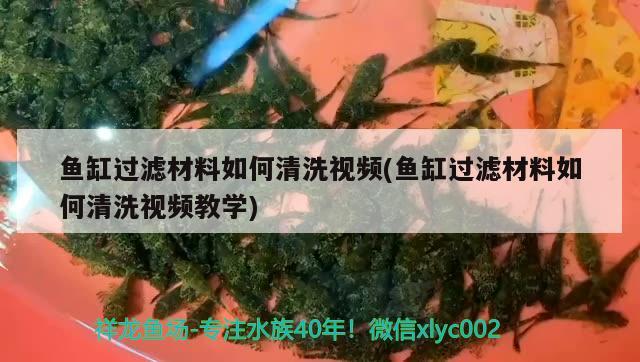 魚缸過濾材料如何清洗視頻(魚缸過濾材料如何清洗視頻教學(xué))