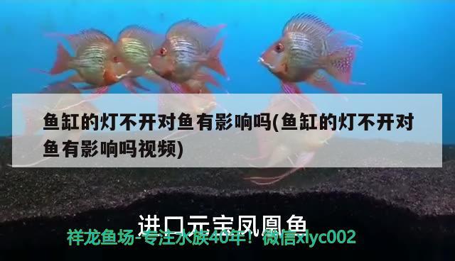 魚缸的燈不開對魚有影響嗎(魚缸的燈不開對魚有影響嗎視頻) 魚糧魚藥