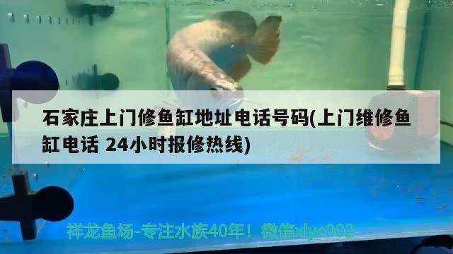 石家莊上門修魚缸地址電話號碼(上門維修魚缸電話24小時(shí)報(bào)修熱線)