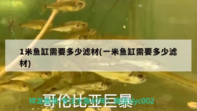 1米魚(yú)缸需要多少濾材(一米魚(yú)缸需要多少濾材) 細(xì)線銀板魚(yú)苗