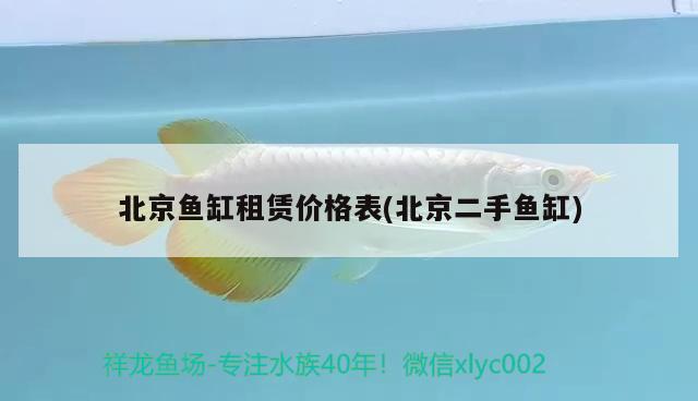 北京魚缸租賃價(jià)格表(北京二手魚缸) 金三間魚