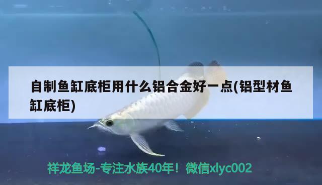 自制魚缸底柜用什么鋁合金好一點(diǎn)(鋁型材魚缸底柜) 虎魚百科