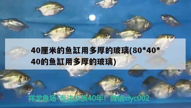 40厘米的魚缸用多厚的玻璃(804040的魚缸用多厚的玻璃)