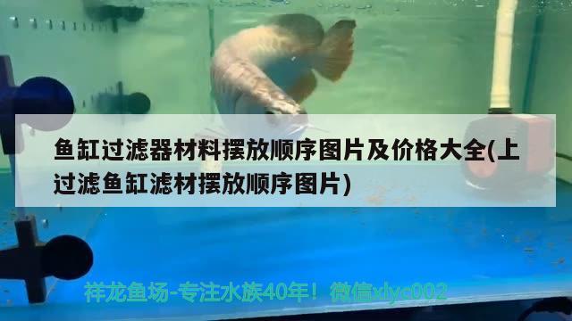 魚缸過濾器材料擺放順序圖片及價格大全(上過濾魚缸濾材擺放順序圖片)