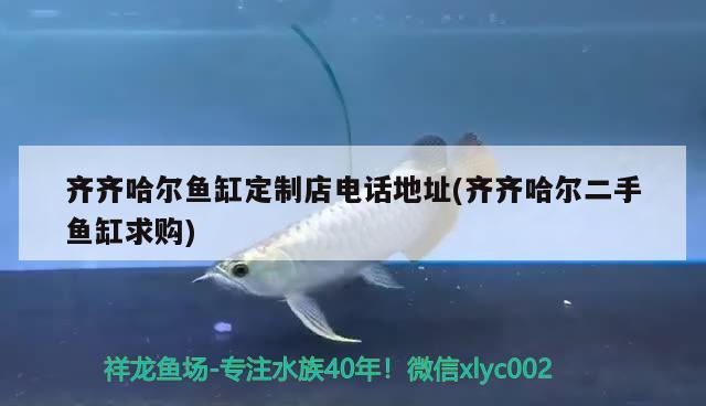 齊齊哈爾魚缸定制店電話地址(齊齊哈爾二手魚缸求購)