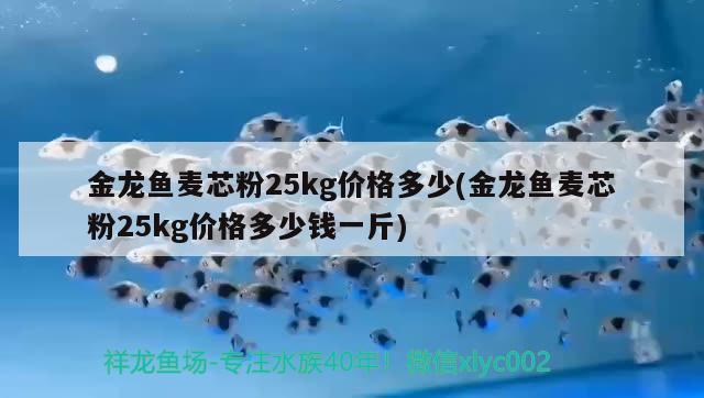 金龍魚麥芯粉25kg價(jià)格多少(金龍魚麥芯粉25kg價(jià)格多少錢一斤) 白化火箭魚