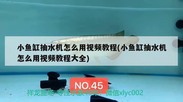 小魚缸抽水機(jī)怎么用視頻教程(小魚缸抽水機(jī)怎么用視頻教程大全)