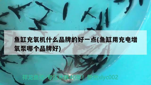 魚缸充氧機(jī)什么品牌的好一點(diǎn)(魚缸用充電增氧泵哪個(gè)品牌好) 喂食器