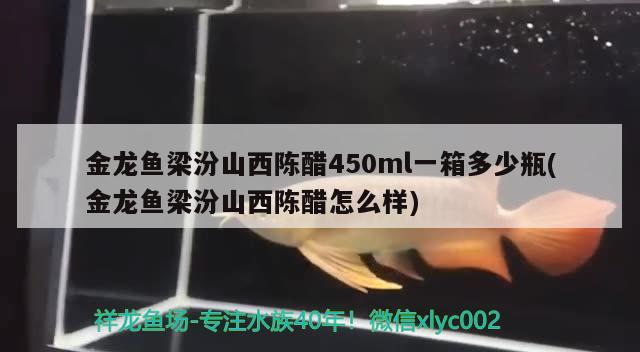 金龍魚梁汾山西陳醋450ml一箱多少瓶(金龍魚梁汾山西陳醋怎么樣) 帝王血鉆