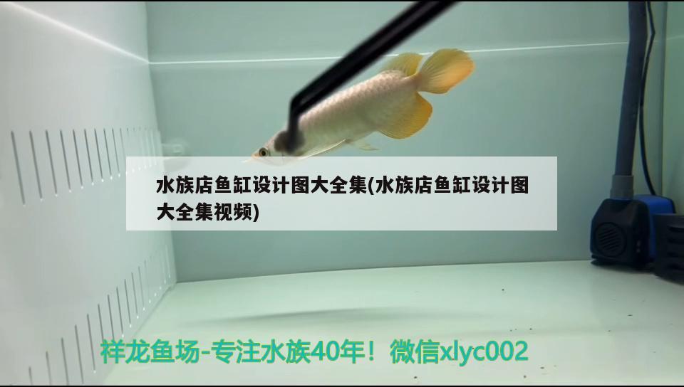 水族店魚缸設計圖大全集(水族店魚缸設計圖大全集視頻)